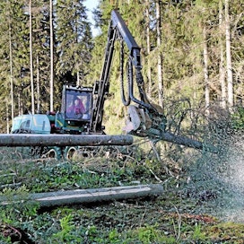 Kotimaassa konekauppaan odotetaan piristystä etenkin energiapuun puolella. Petri Ojala työskenteli viime torstaina Isojoella.