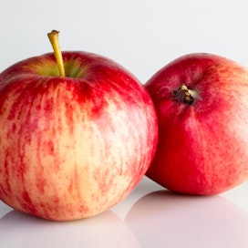 Varastointi vaikuttaa jonkin verran omenan makuun. Talvehtinut omena on sokeripitoisuudeltaan korkeampi ja sen happoisuus laskee.