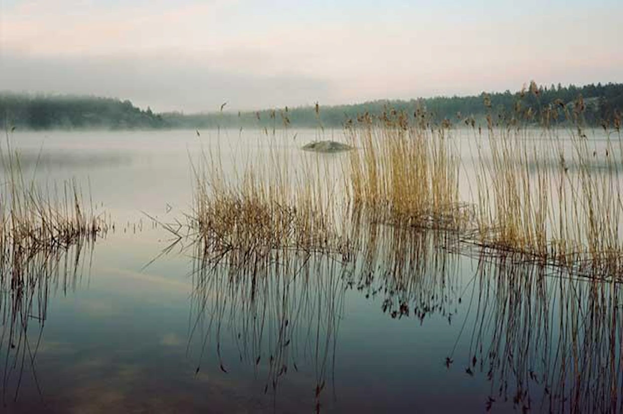 Äärisäät aiheuttavat usein vahinkoa tuotannolle tai sadolle.