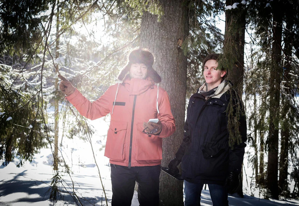 Bitcomp tarjoaa älykkäitä metsäjärjestelmiä ja paikkatietoanalyysejä. Toimitusjohtaja Tapani Stjernvall (vas.) ja tuotepäällikkö Eero Kananen esittelivät viime viikolla Jyväskylässä Bitcompin ja metsänhoitoyhdistysten yhteistyössä kehittämää uutta verkkopalvelua OmaMetsää.