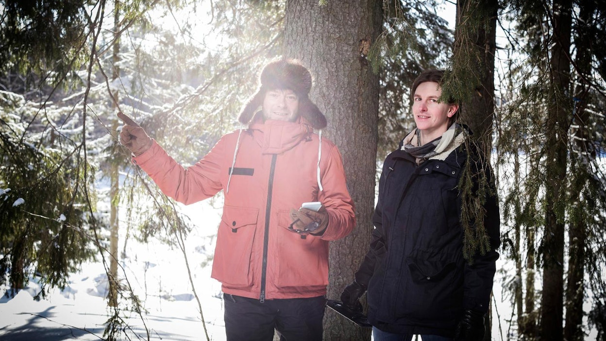 Bitcomp tarjoaa älykkäitä metsäjärjestelmiä ja paikkatietoanalyysejä. Toimitusjohtaja Tapani Stjernvall (vas.) ja tuotepäällikkö Eero Kananen esittelivät viime viikolla Jyväskylässä Bitcompin ja metsänhoitoyhdistysten yhteistyössä kehittämää uutta verkkopalvelua OmaMetsää.