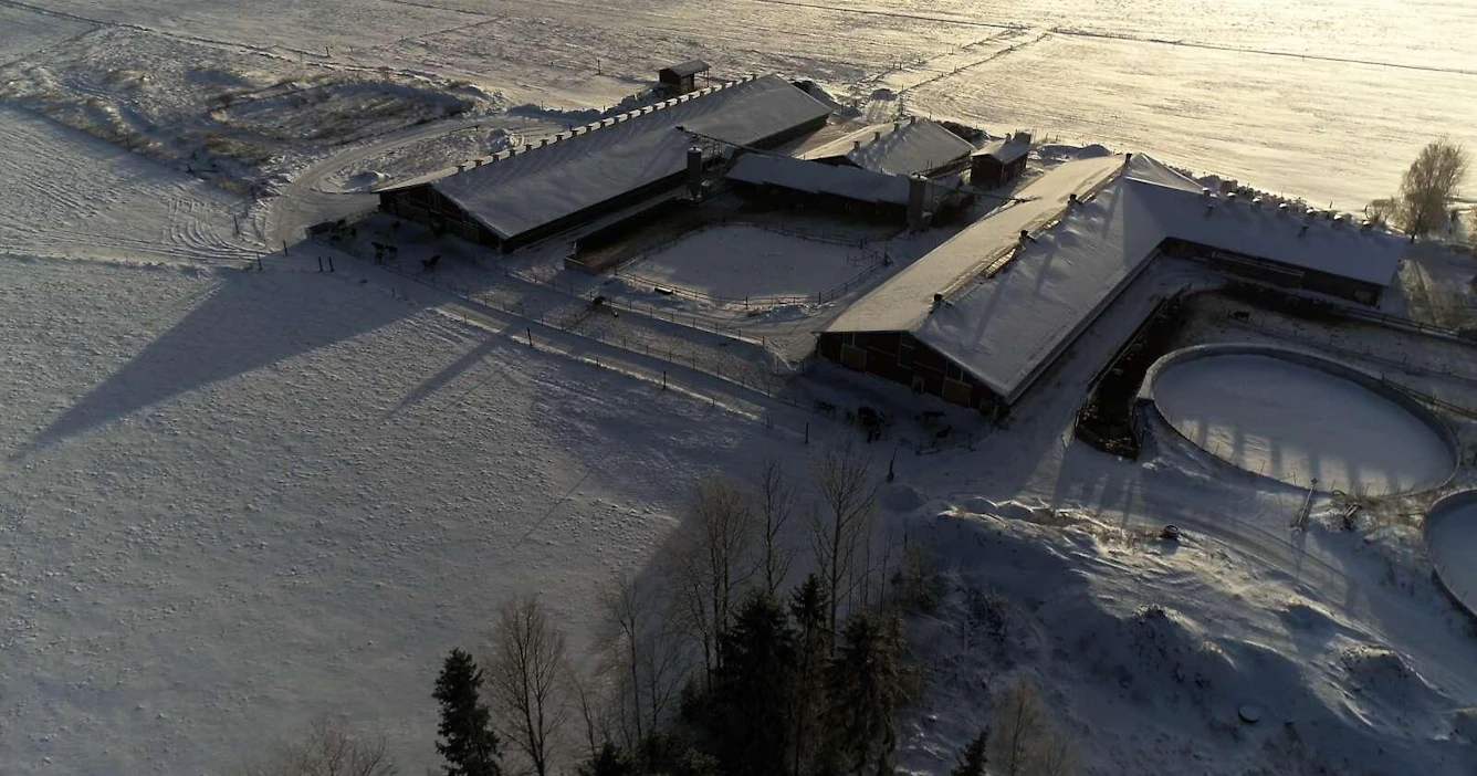 Tikan maitotilalle ryhdytään rakentamaan biokaasulaitosta mahdollisesti syksyllä, jos kaikki menee putkeen.