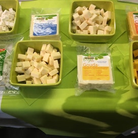 Vegaaniset kasvirasvavalmisteet näyttävät juustoilta, mutta maku poikkeaa.