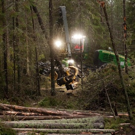 FSC-sertifikaatti edellyttää, että viisi prosenttia metsästä on pysyvästi metsätalouden ulkopuolella.