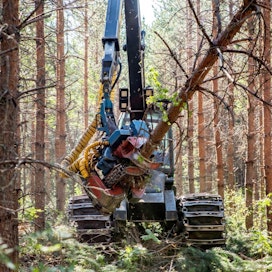 Koko alkuvuonna Metsäteollisuus ry:n jäsenyritykset ovat ostaneet puuta yksityismetsistä 21,2 miljoonaa kuutiometriä.