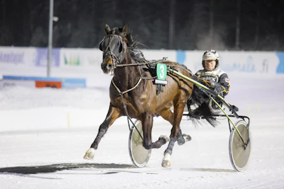 Boss Amiraal on Petri Ripatin toinen 75-hevonen lauantaina. Isommat odotukset kohdistuvat Get Involvediin.