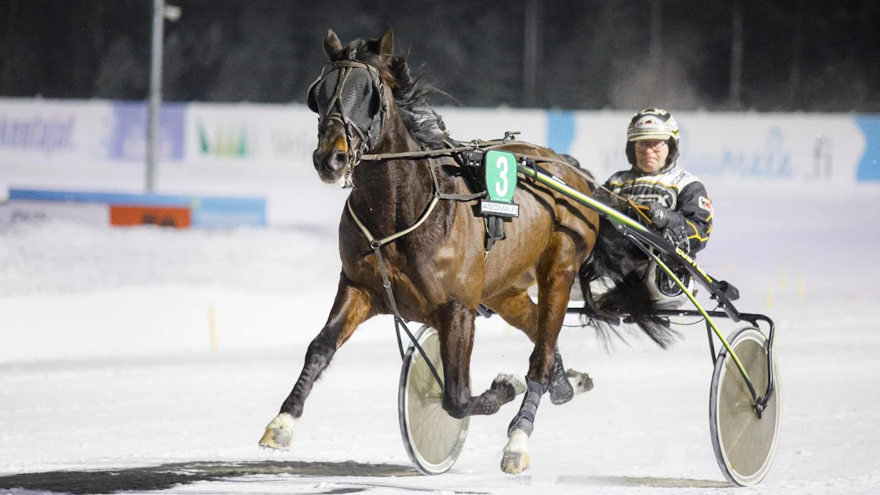 Boss Amiraal on Petri Ripatin toinen 75-hevonen lauantaina. Isommat odotukset kohdistuvat Get Involvediin.