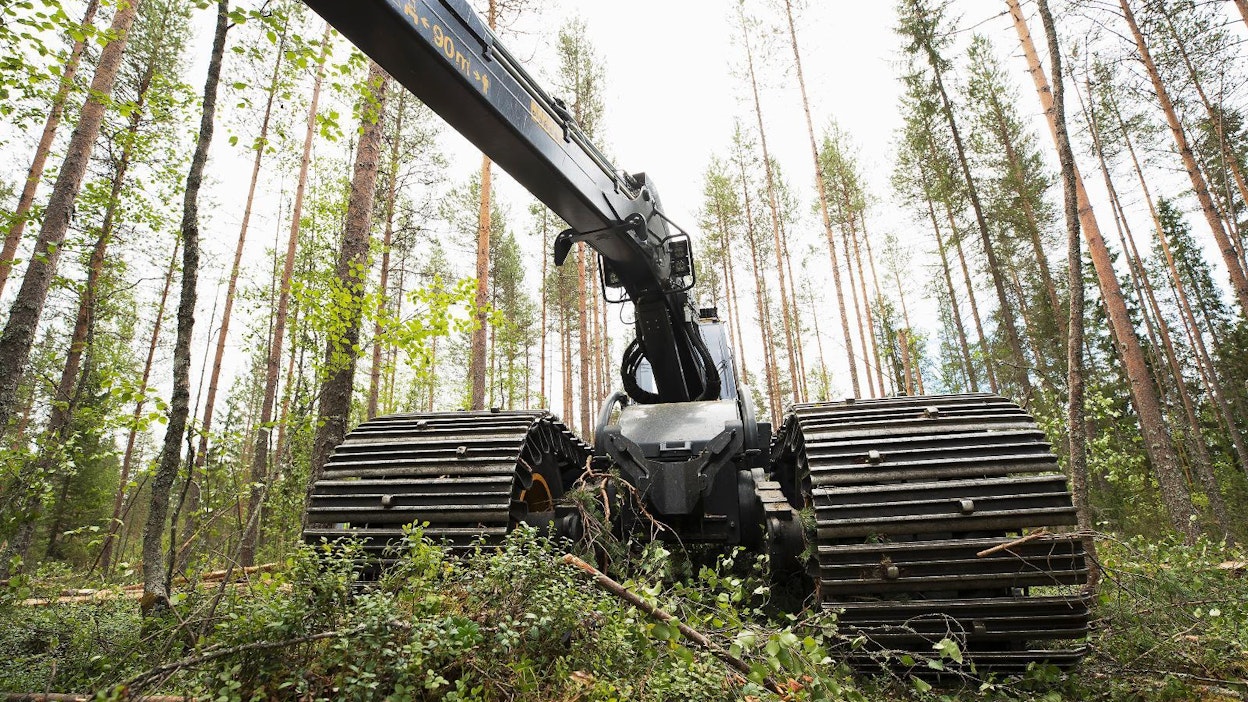 Metsä Groupin harvennusleimikkoa.