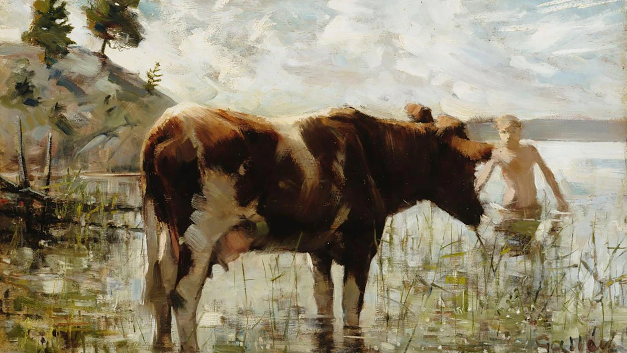 Ranta- ja metsälaitumia samoava karja on osa harvinaistunutta, suomalaista kulttuurimaisemaa. Akseli Gallen-Kallelan teos Lehmä ja poika on vuodelta 1885.