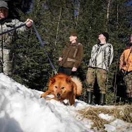 Pasi Kivimäki pystykorva Tiltun kanssa, Matti Tammelin, Matti Hintikka sekä Kari Kunelius toivovat, että nykyiset nuoremman polven metsästäjät sekä tulevat metsästäjät innostuisivat riistanhoidosta, eivätkä keskittyisi metsästämään vain syötävää riistaa.