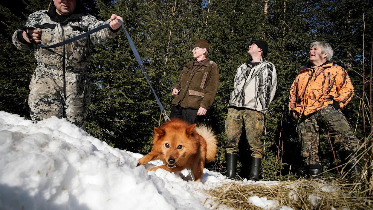 Pasi Kivimäki pystykorva Tiltun kanssa, Matti Tammelin, Matti Hintikka sekä Kari Kunelius toivovat, että nykyiset nuoremman polven metsästäjät sekä tulevat metsästäjät innostuisivat riistanhoidosta, eivätkä keskittyisi metsästämään vain syötävää riistaa.