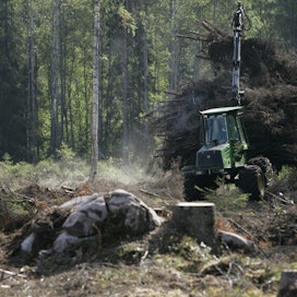 EU-parlamentin ympäristövaliokunta valmistelee tarkennuksia, kuinka metsäpohjaisen bioenergian kestävyyttä tulisi todentaa.