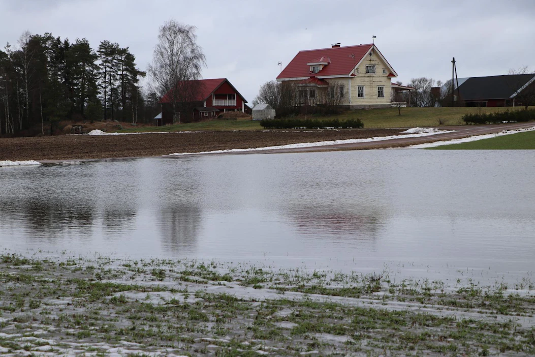 Sade ja lumen sulamisvesi kerääntyivät syysvehnäpellolle Rautjärvellä. Kuva on otettu tiistaina.