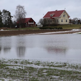 Sade ja lumen sulamisvesi kerääntyivät syysvehnäpellolle Rautjärvellä. Kuva on otettu tiistaina.