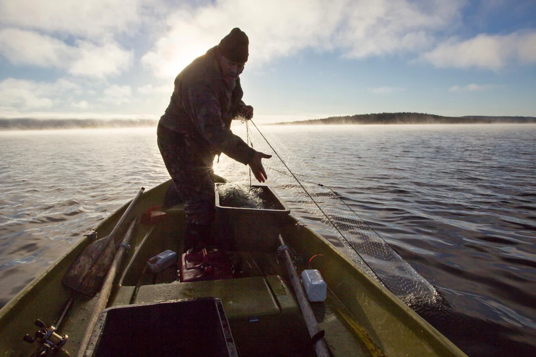 Lapin pohjoisimpien järvien kalastajien saaliista nieriöiden, siikojen, taimenien, harjusten ja mateiden määrä tullee vähenemään tulevaisuudessa.