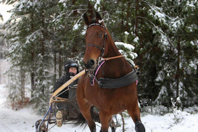 Victory Zet jatkaa uraansa sunnuntaina Kouvolan raveissa. Heli Taipaleen silmäterä saattaa olla vaikka yksi parhaista Zet-kasvateista.