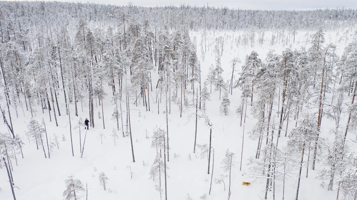 Muun muassa kuvan Hossan kansallispuistoon esitetään vajaan 400 hehtaarin rajoitusaluetta luontokeskuksen lähialueelle ja kansallispuiston itälaidalle.