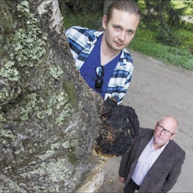 Arttu (vas.) ja Matti Pylkkänen kokeilevat metsissään muun muassa pakurikäävän kasvatusta. Tryffeleitä varten he ovat perustaneet tiluksilleen pienen lehtipuupuiston. Markku Vuorikari
