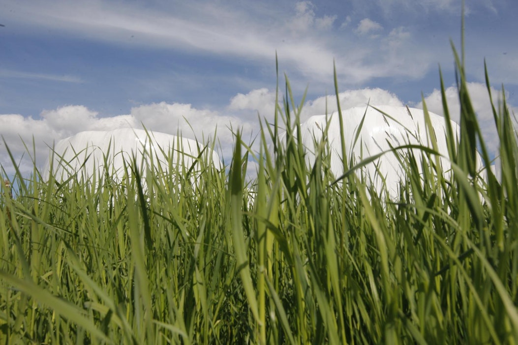 Monivuotiset nurmet estävät huuhtoumia.
