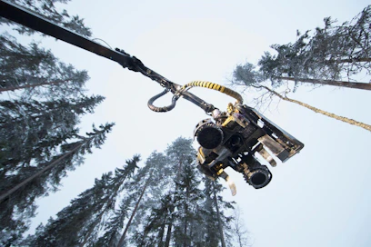 Metsänhoito on suurelle yleisölle nykyään tuntematonta toimintaa, arvioi moni MT:n verkkokyselyyn vastanneista.