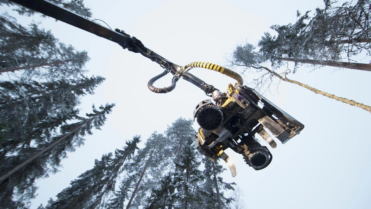 Metsänhoito on suurelle yleisölle nykyään tuntematonta toimintaa, arvioi moni MT:n verkkokyselyyn vastanneista.