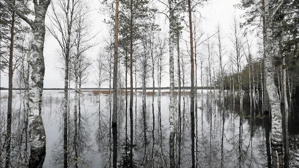 Tämän kevään tulva on siirtymässä kohti pohjoista. Pudasjärvellä Iijoella veden korkeus oli torstaina laskenut kymmenkunta senttiä. Pekka Fali
