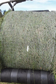 RFID-sirun ja antennin sisältämä tarra siirtyy verkon mukana paaliin. Siruja on verkkorullassa 10 metrin välein.