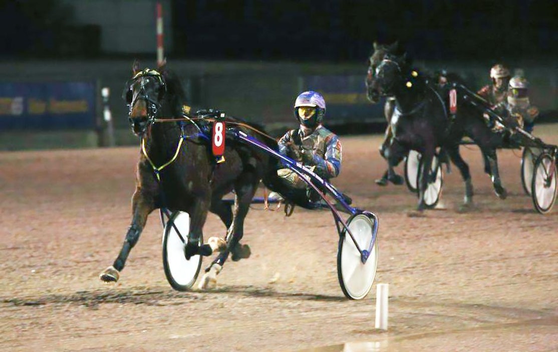 Ypäjä Hereiam on yksi Kaviovakio-rivin luottohevosista.