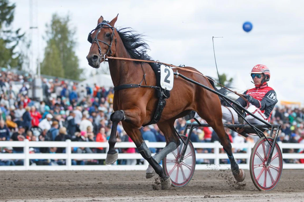 Upea Radetzky kilpaili Lahden kuninkuusraveissa viime kesänä Marko Hakkaraisen tallista ja Santtu Raitalan ohjastamana, mutta tuolloin ei irronnut menestystä.