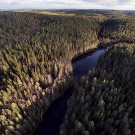 Metsähallituksen hallinnassa on kolmasosa Suomen pinta-alasta. Kuvassa Isojärven kansallispuisto.
