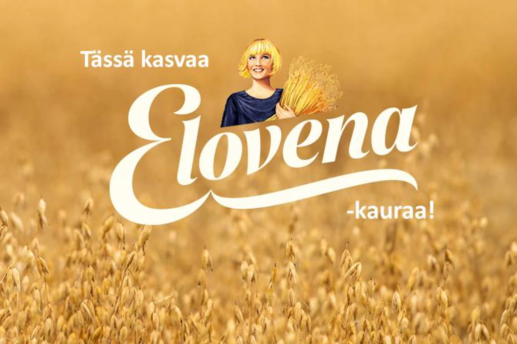 Nokian myllyllä kaurasta valmistuu raaka-ainetta monenlaisiin Elovena-tuotteisiin.