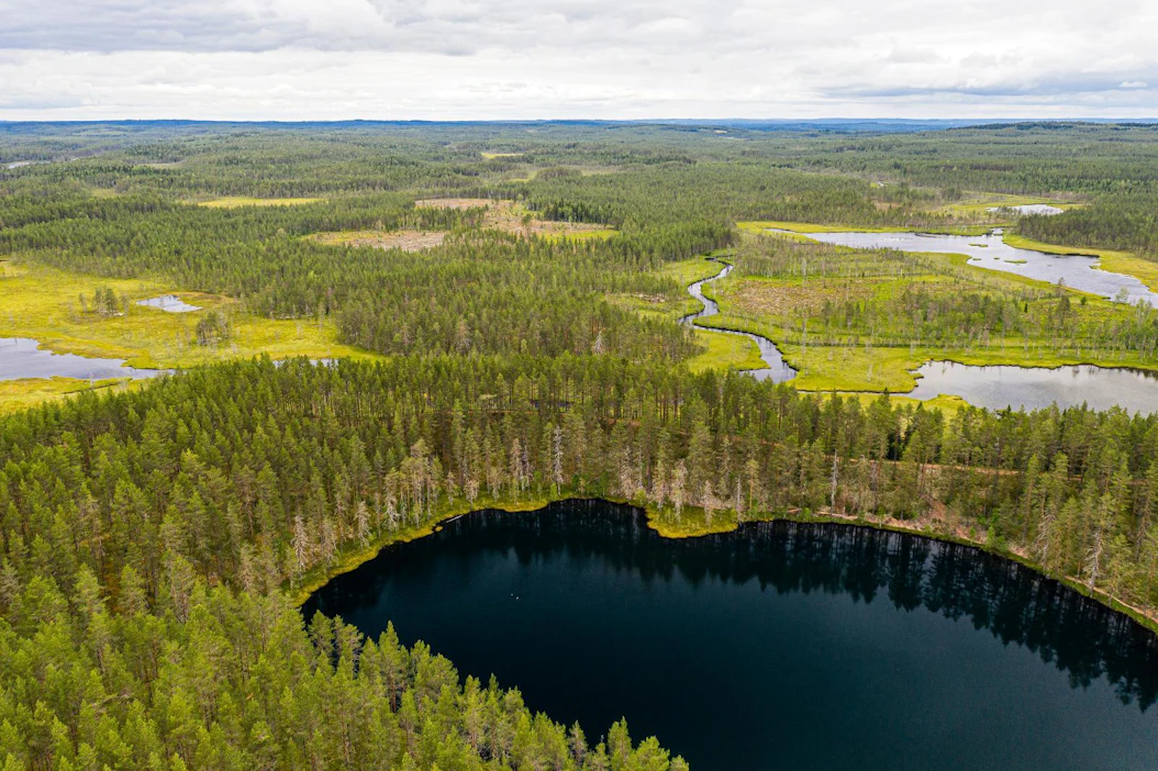 Alueelliset metsäohjelmat ovat osa Kansallisen metsästrategian 2025 toimeenpanoa.
