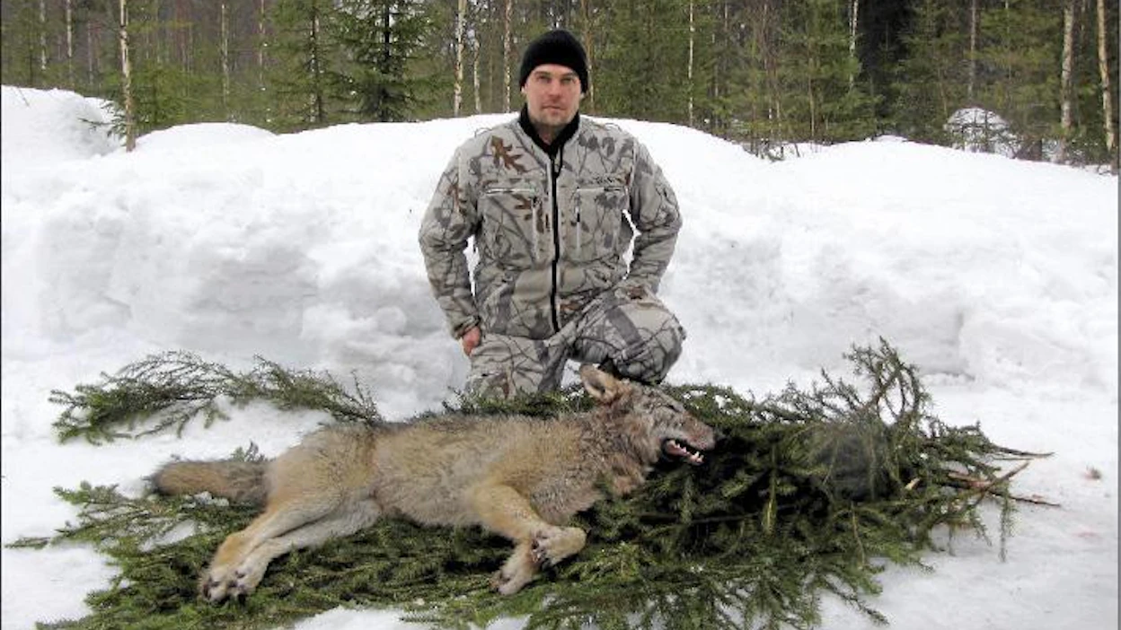 Susi on kaikkein haastavin metsästettävä, kuvasi alkuviikon työtä Ilomantsin jahtia johtanut Ari Turunen tiistaina. Kaisa Huttunen