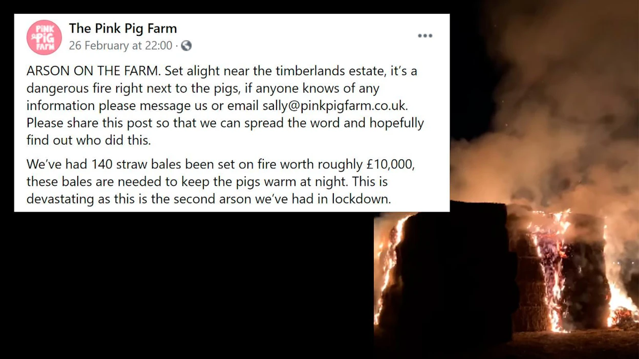 The Pink Pig Farm on jakanut Facebook-sivullaan videon palosta. Sivulla on myös kuvia nuorisojoukosta, joka oli seisoskellut paalikasalla ennen paloa.