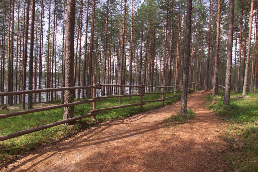 Ympäristöministeriön elvytystyöryhmä ehdottaa tukipakettia luontopolkujen ja muiden ulkoilukohteiden kunnostukseen ja hoitoon.