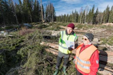 Hakkuutähteet puitiin hajalleen hakkuualalle, jotta ne palaisivat tasaisesti tulevassa kulotuksessa. Metsäkeskuksen projektipäällikkö Jyri Pääkkönen esitteli huhtikuussa metsänomistaja Leena Ruohtulalle hakkuuntyömaata.