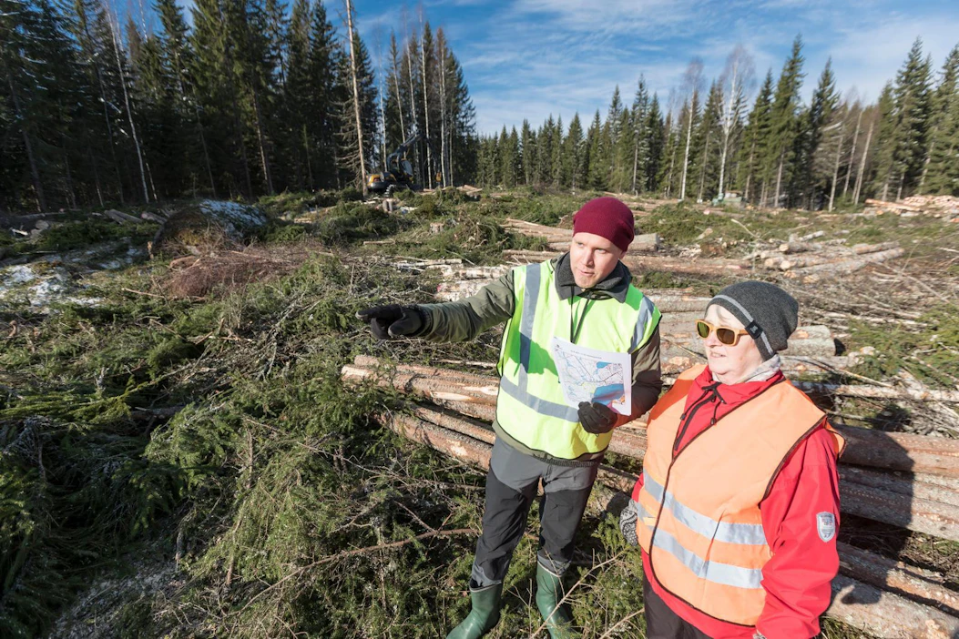 Hakkuutähteet puitiin hajalleen hakkuualalle, jotta ne palaisivat tasaisesti tulevassa kulotuksessa. Metsäkeskuksen projektipäällikkö Jyri Pääkkönen esitteli huhtikuussa metsänomistaja Leena Ruohtulalle hakkuuntyömaata.