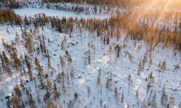 Tällä metsäkuviolla metsätalous on sallittua ja myrskyn kaatamat puut oli tarkoitus korjata syksyllä ja ajaa pois talvella, mutta ely-keskukselta ei vielä ole tullut hyväksyntää puunkorjuulle. Tukit ovat vaarassa sinistyä, kun kevät koittaa.