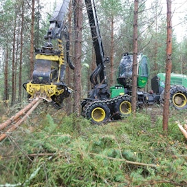 Suomen metsät ovat joutumassa biotalouden kasvavan raaka-ainetarpeen ja ilmastonmuutoksen hillinnän pelinappulaksi.