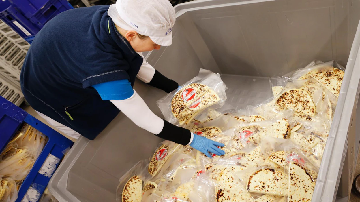 Vaalan Juustola valmistaa lähialueen maidosta juustoleipää tuotenimellä Haapalan maalaisjuustoleipä. Juustoleipää kutsutaan toisilla murrealueilla leipäjuustoksi.