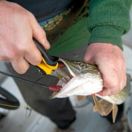 Vuoden 2009 kalastusoppaaksi valittu Erik Herlevi ahven hauki kala
Eriko Herlevi ahven hauki kalaopas kalastus