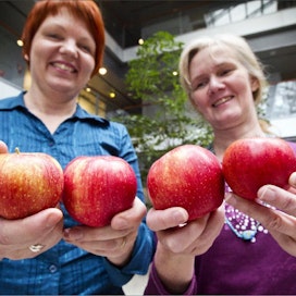 MTT:n erikoistutkija Terhi Latvala ja Helsingin yliopiston tohtorikoulutettava Laila Seppä etsivät tutkimuksessaan kuluttajien todellisia ajatuksia kotimaisista omenista. Heidän tutkimuksessaan koehenkilöt saattavat haistelun, maistelun ja hinta-arvion jälkeen joutua ostamaan omenia niistä lupaamaansa hintaan. Kari Salonen