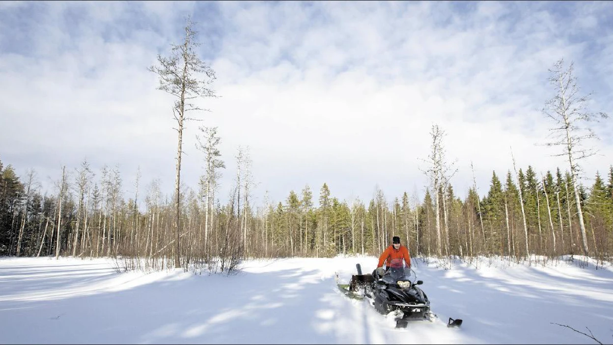 Esa Kotilaisen isän kaivattama riistakosteikko on vielä lumen ja jään alla. Kosteikon penkoilla on lähes puoli hehtaaria riistapeltoa. Sami Karppinen