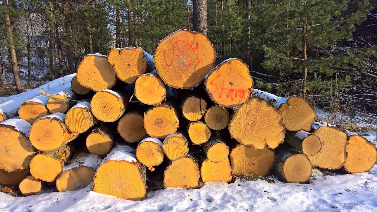 Suurimman ilmastohyödyn tuo talousmetsien käyttö.