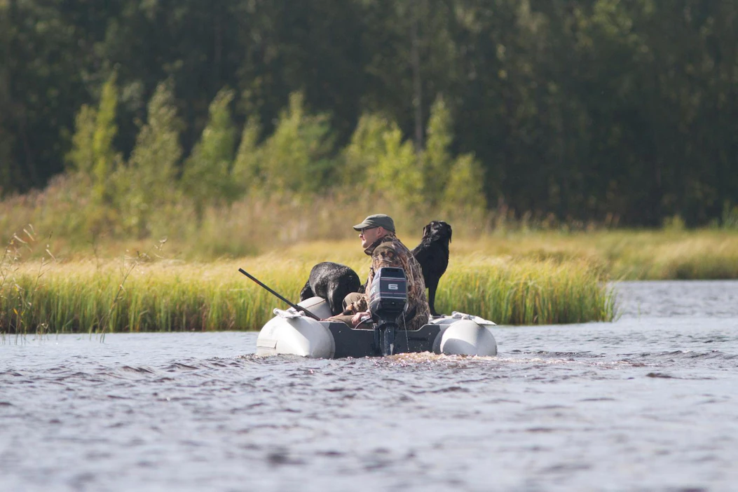 Kun metsästystä arvostelee epäeettiseksi, palaute on epäeettistä, kirjoittaa Kaarina Davis Ylen Ikkuna-palvelun kolumnissaan.