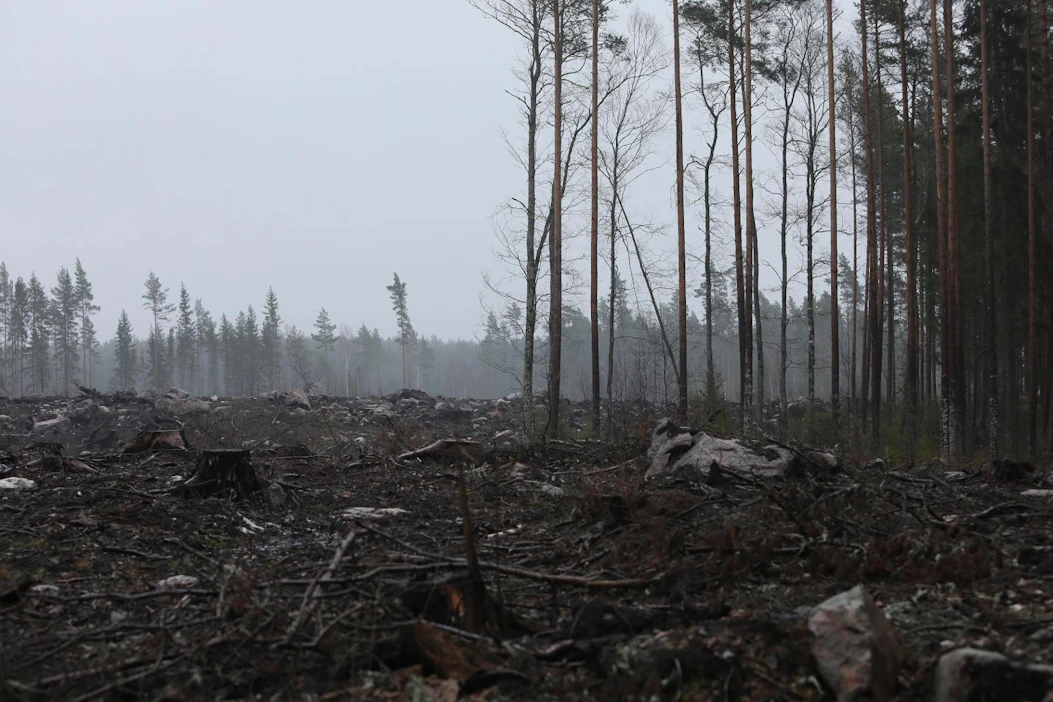 Pyhärannan palon jälkisammutusta tekivät kesällä 2018 muun muassa varusmiehet. Samana vuonna Suomessa paloi reilu tuhat, Ruotsissa yli 24 000 hehtaaria metsää.