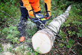 EU-vieraat viedään metsään ja tehtaille.