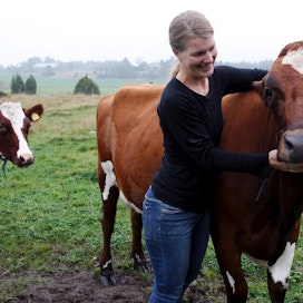 Tuottajalle eläin on arvokas yksilönä. Kuvassa Jennifer Sundman ja Tiffan-lehmä.