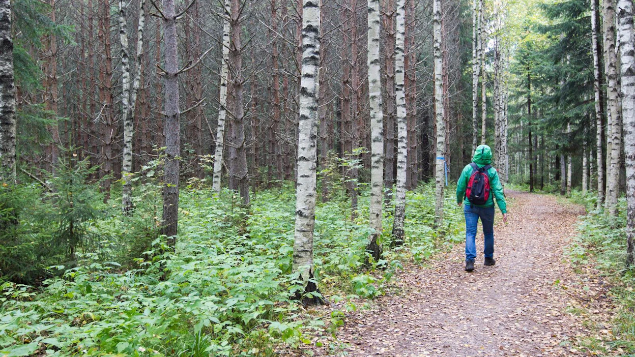 Metsämme- ja Retkelle 2018 -tapahtumat sekä Wemmi-kevätmarkkinat järjestetään yhtä aikaa Jyväskylässä 21.–22.4.