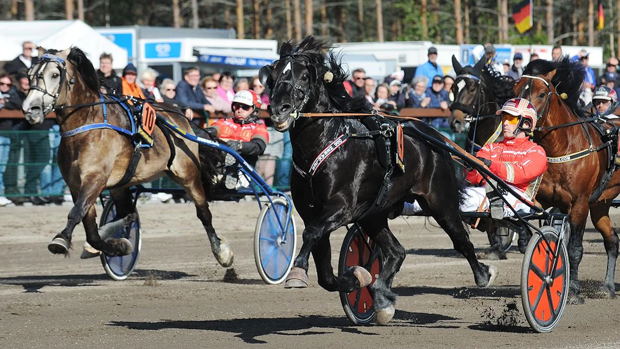 Odd Herakles on palaamassa "rikospaikalle" Suomeen ja Härmään sekä myöhemmin kesällä vielä Mikkeliin. Tähtäimessä ovat Järvsöfaksin ME-lukemat 17,9.